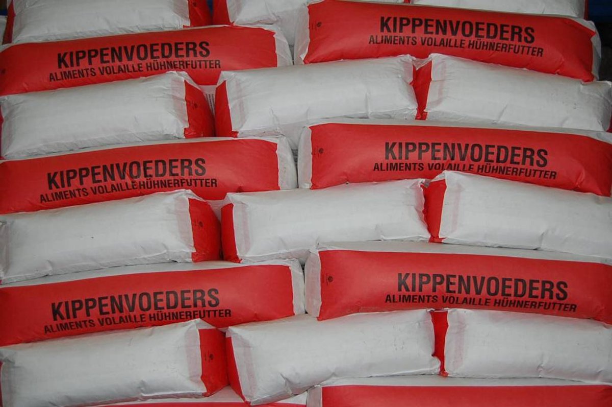 Van Gorp Sierhoender korrel basis 20KG