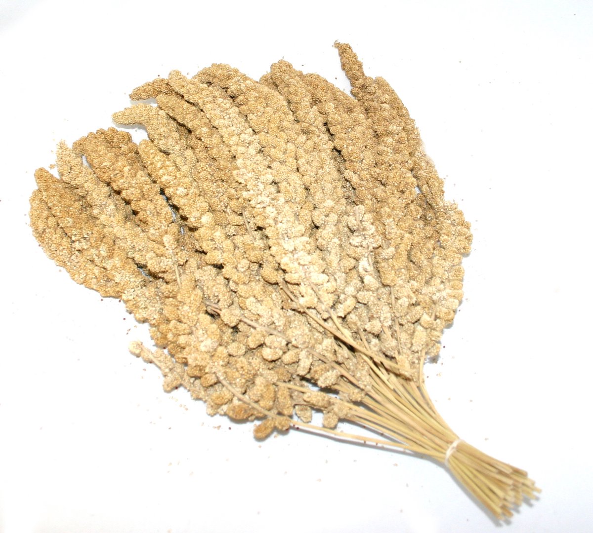 Duvoplus - Vogelsnack - Vogel - Trosgierst Chinees 10 Inch 15kg - 1st