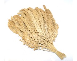 Duvoplus - Vogelsnack - Vogel - Trosgierst Chinees 10 Inch 15kg - 1st