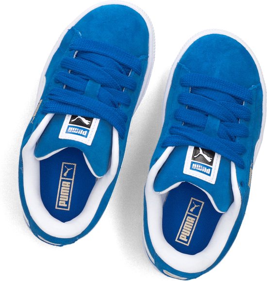 Element SEAL BP - Hoodie - ecn/blauw
