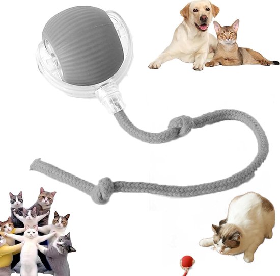 Elektrisch Kattenbalspeelgoed - Interactief Kattenspeeltje - Automatisch Rollend Slim Kattenspeelgoed Voor Katten - Oplaadbaar - Speelgoed Voor Huisdieren - Snel Rollen Op Tapijt - Voor Interactief Spelen Binnenshuis - Grijs - 1 Stuk