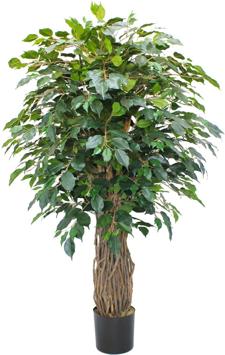 PrettyPlants Ficus Liana Kunstplant 180cm Groen