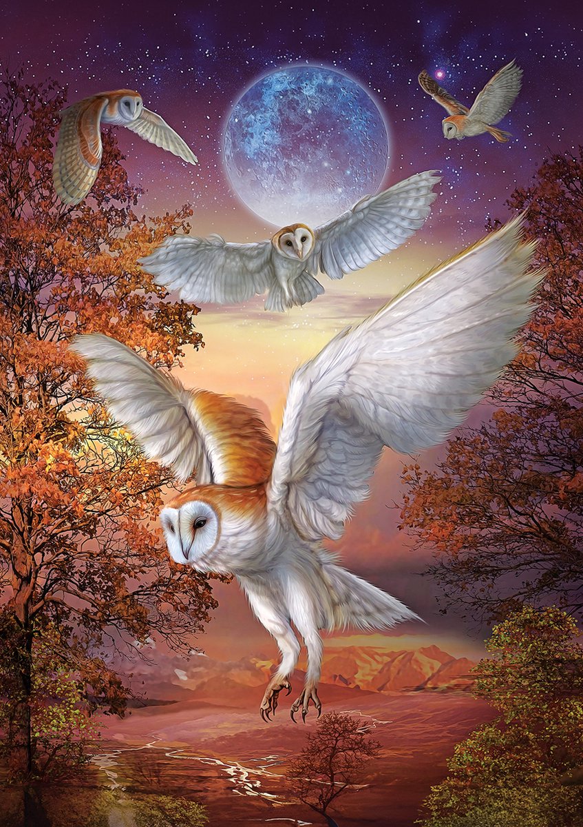Art Puzzle puzzel Moonlight Owls - 1000 stukjes karton.