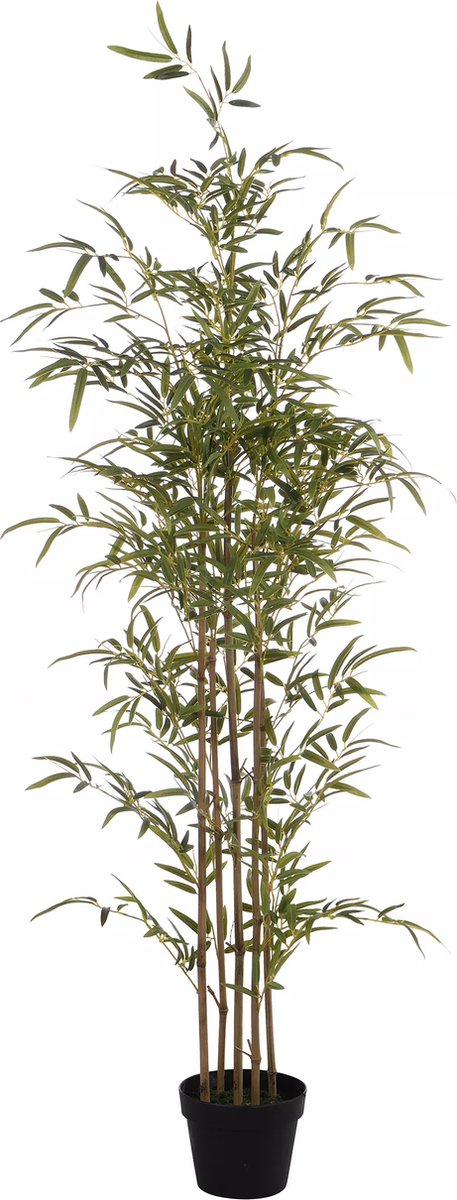Vente-unique Kunstbamboe met natuurlijke stam - H160 - MUCURI