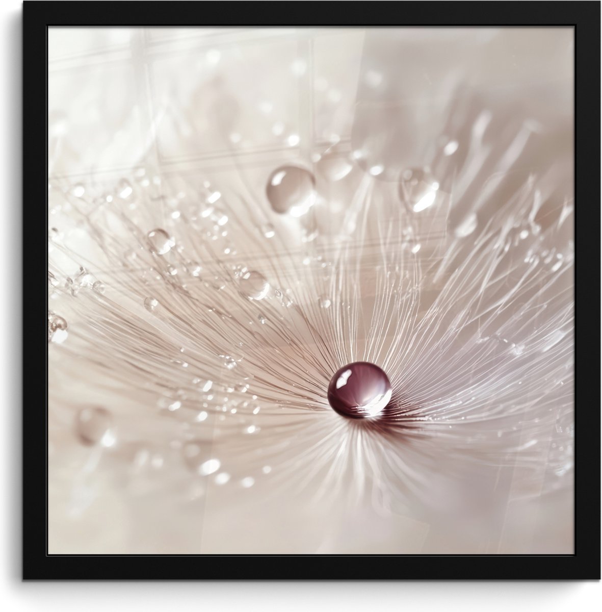 FrameYourWall Poster in lijst - Fotolijst 40x40 cm - Posters - Bloem - Abstract - Wit - Water - Natuur - Posterlijst zwart - Decoratie - Wanddecoratie woonkamer - Muurdecoratie slaapkamer Paardenbloem - Abstract