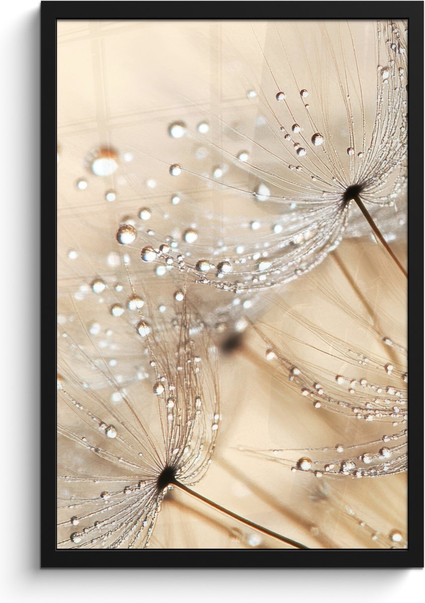 FrameYourWall Poster in lijst - Fotolijst 40x60 cm - Posters - Paardenbloem - Abstract - Natuur - Beige - Posterlijst zwart - Decoratie - Wanddecoratie woonkamer - Muurdecoratie slaapkamer