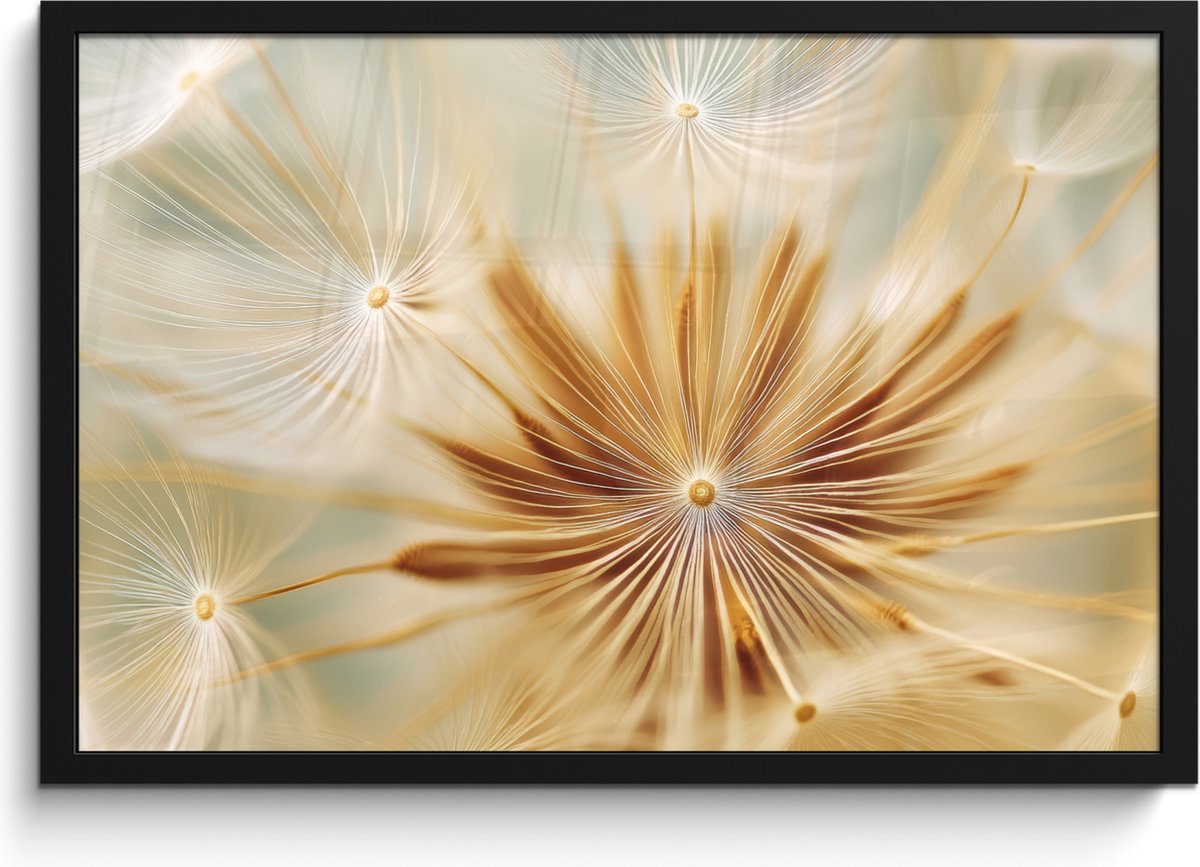 FrameYourWall Poster in lijst - Fotolijst 60x40 cm - Posters - Paardenbloem - Beige - Abstract - Modern - Natuur - Posterlijst zwart - Decoratie - Wanddecoratie woonkamer - Muurdecoratie slaapkamer Paardenbloem - Abstract
