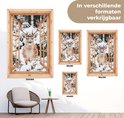 Afbeelding nummer  9