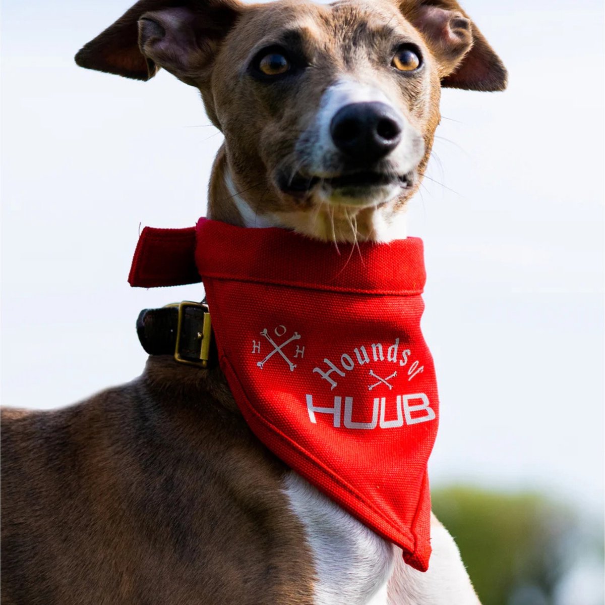 Huub Pet PET Bandana Sjaal A2- - Red