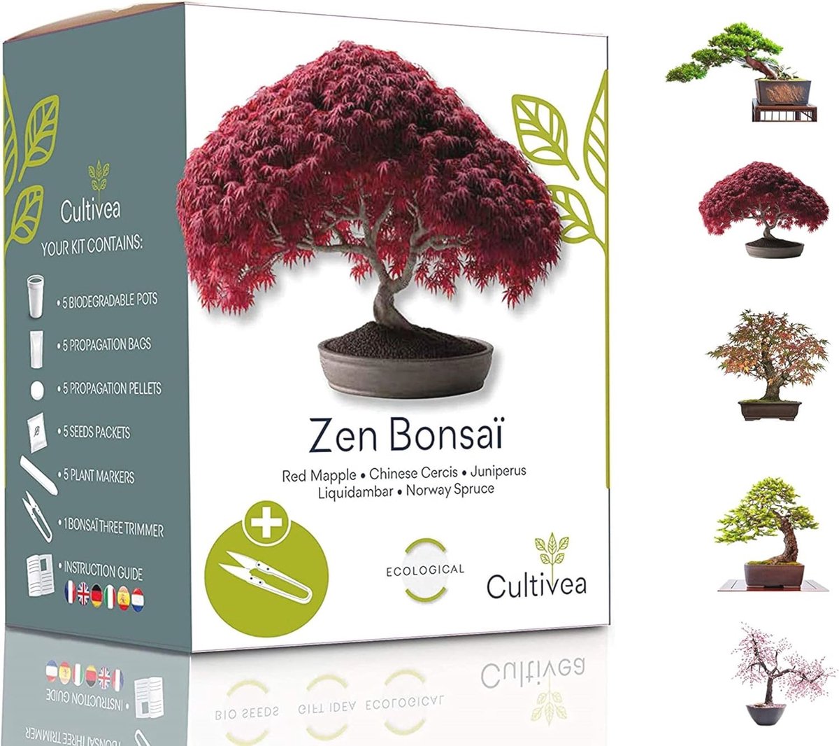 Mini Bonsai Groei Kit - Kweek je Eigen Bonsai Bomen met Kwaliteitszaden - Perfect Geschenk en Tuinaccessoire