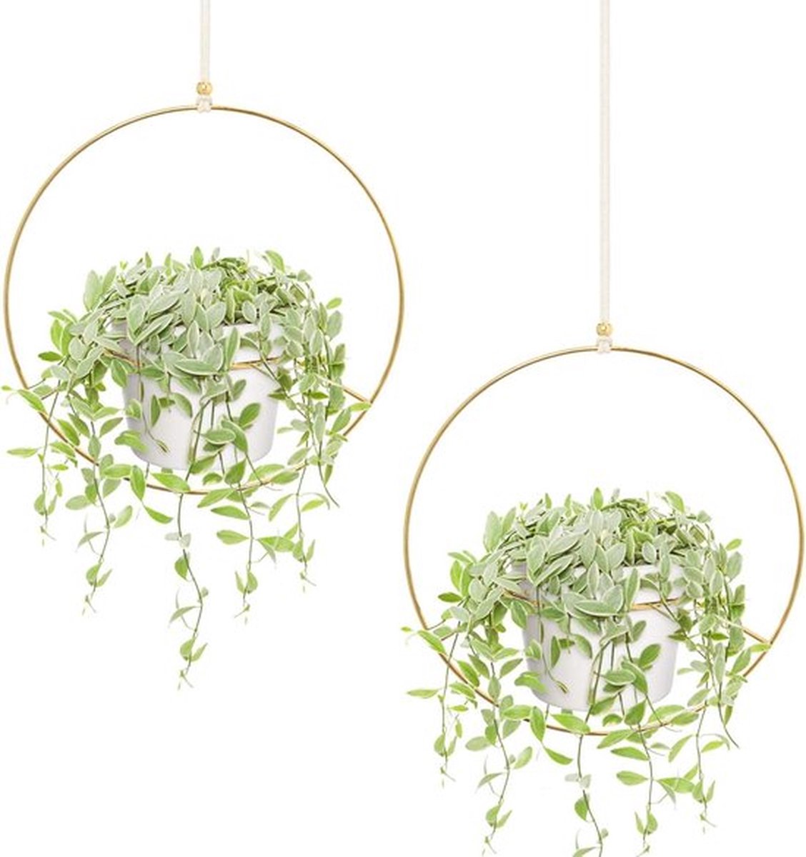 Plantenhanger - Planthanger Metalen Ronde Rozen - Moderne Huisdecoratie - Set van 2 Stuks