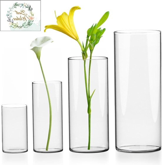 Donkerbruine Glazen Vaas Cylinder Set van 2 | Elegante Vasen van J-Line – Living Lovely