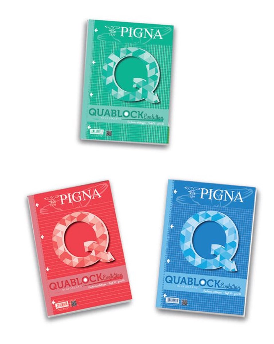 Pigna 02112151R schrijfblok & schrift A4 40 vel Meerkleurig