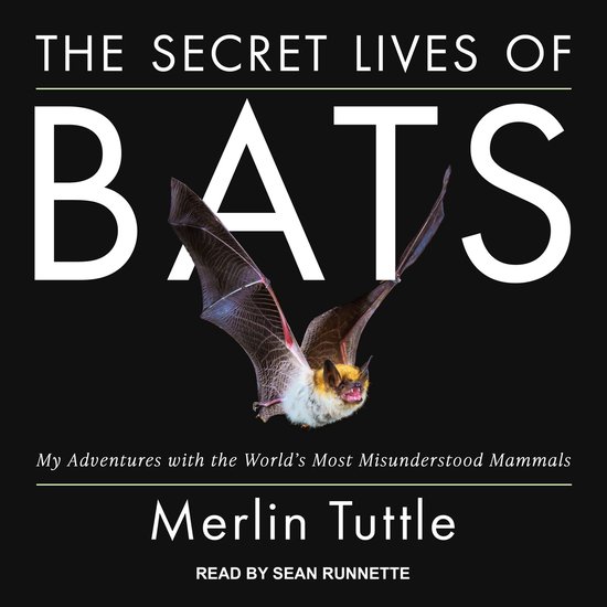 The Secret Lives of Bats - cover