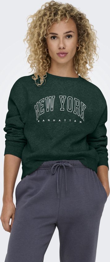 Pull Only Onlsweat Life L/s Crew O.size State 15254183 Pine Grove/New York Femme Taille - L