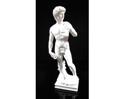 Michelangelo - David Sculpture - Mouseion