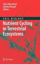 Nutrient Cycling in Terrestrial Ecosystems