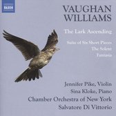 Chamber Orchestra Of New York, Salvator Di Vittorio - Vaughan Williams: The Lark Ascending (CD)