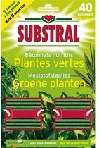 Meststofstaafjes voor groene planten - set van 40 stuks