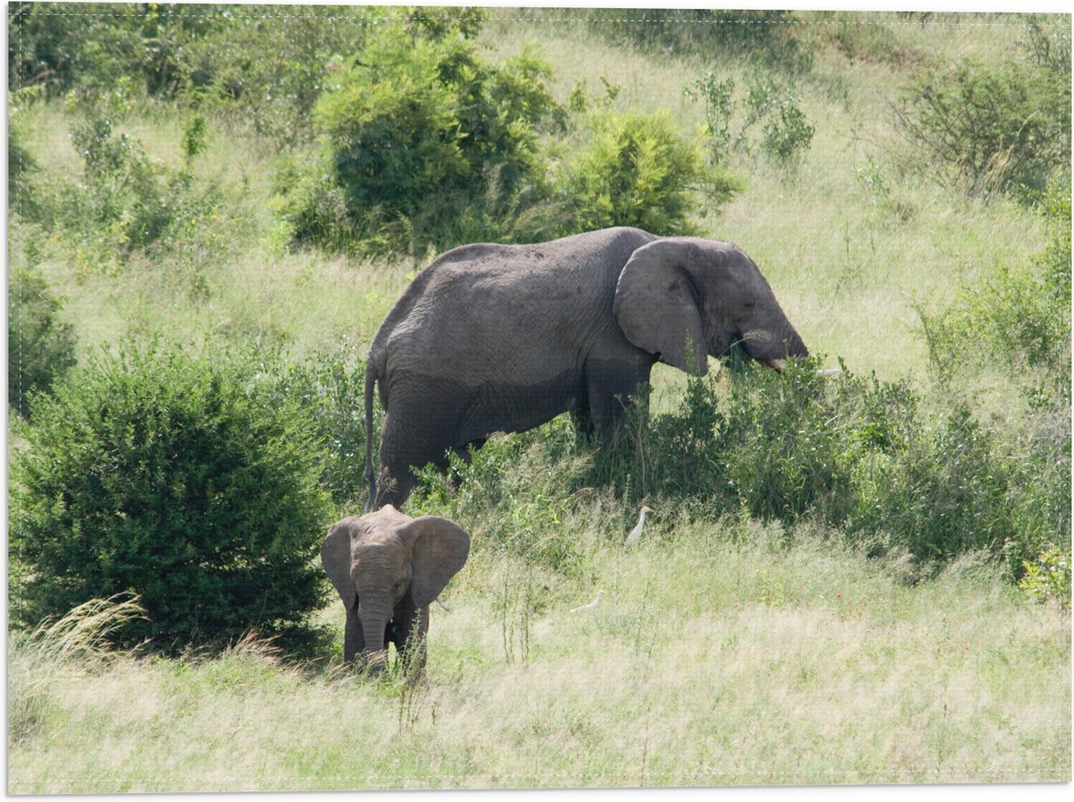 Vlag - Moeder en Baby Olifant - 40x30 cm Foto op Polyester Vlag