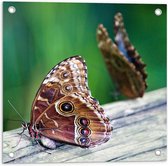 WallClassics - Tuinposter – Bruine Vlinders op een Houte Balk - 50x50 cm Foto op Tuinposter  (wanddecoratie voor buiten en binnen)