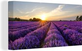 Canvas - Schilderij - Lavendel - Zon - Landschap - Bloemen - Schilderijen op canvas - Foto op canvas - 160x80 cm - Muurdecoratie - Slaapkamer