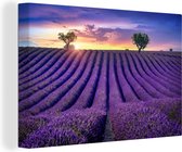 Canvas - Schilderij - Bloemen - Zonsondergang - Lavendel - Landschap - Bomen - Canvas doek - Schilderijen op canvas - 120x80 cm - Wanddecoratie