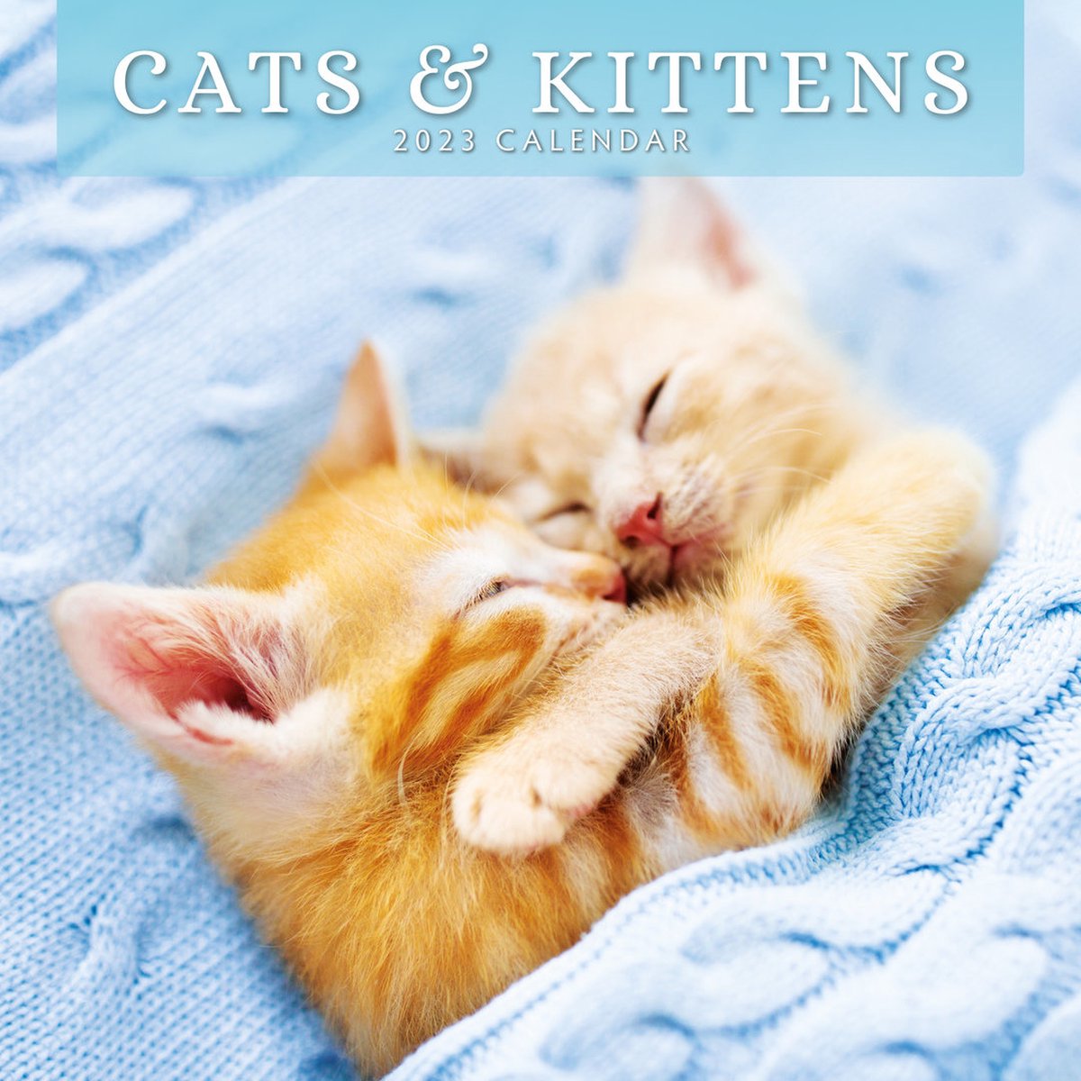 Cats and Kittens Kalender 2023