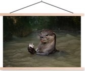 Loutre avec nourriture dans l'eau affiche textielposter lattes vierges 60x40 cm - Tirage photo sur plaque école (décoration murale salon / chambre)