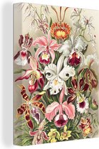 Canvas - Bloemen - Orchidee - Muurdecoratie Kleurrijk - Vintage - Canvas schilderij bloemen - Canvas schilderij - Oude meesters - 30x40 cm