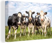 Canvas schilderij koe - Koe - Dieren - Natuur - Zwart-wit - Koeien - 60x40 cm - Canvas - Kamer decoratie