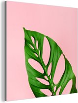 Wanddecoratie Metaal - Aluminium Schilderij Industrieel - Botanisch blad met felle kleur als achtergrond - 50x50 cm - Dibond - Foto op aluminium - Industriële muurdecoratie - Voor de woonkamer/slaapkamer