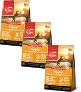 Orijen Whole Prey Puppy Kip&Kalkoen - Hondenvoer - 3 x 2 kg