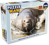 Puzzel Dieren - Water - Strand - Legpuzzel - Puzzel 1000 stukjes volwassenen