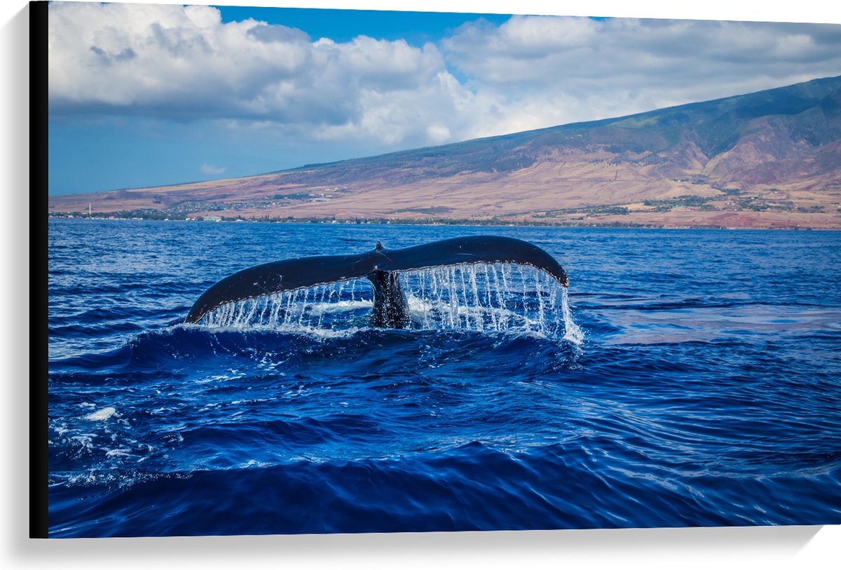 WallClassics - Canvas - Walvis Staart in de Zee - 90x60 cm Foto op Canvas Schilderij (Wanddecoratie op Canvas)