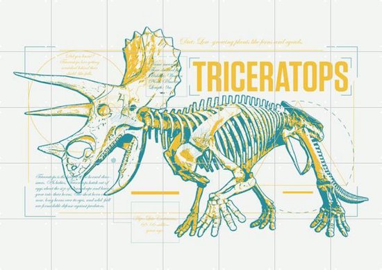 IXXI Triceratops Skeleton - Wanddecoratie - Kinderen - 140 x 100 cm