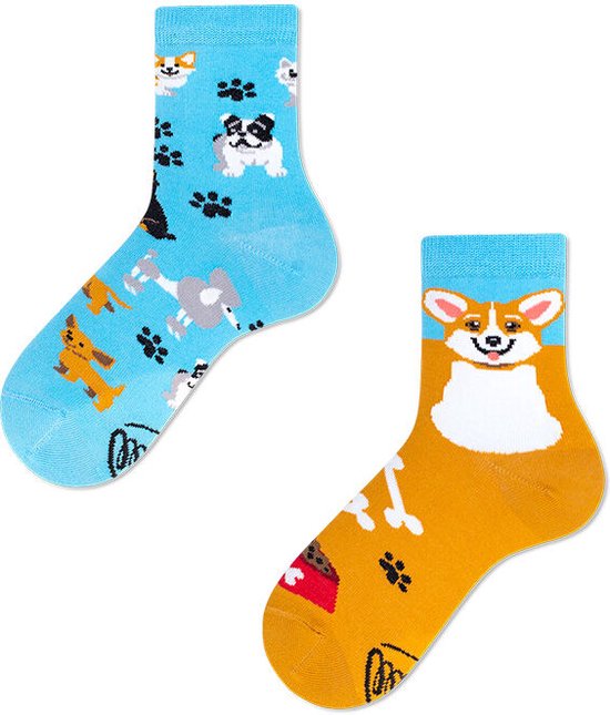 Chien ludique pour enfants Many Mornings - 23-26