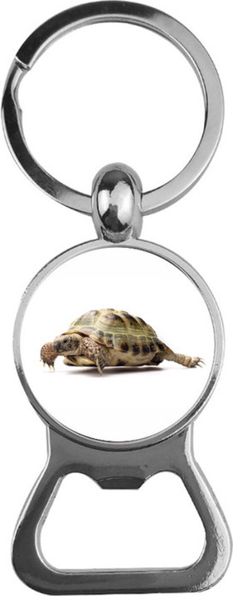 Bieropener Glas - Schildpad