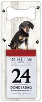 Scheurkalender 2024 Hond: Appenzeller Sennerhond