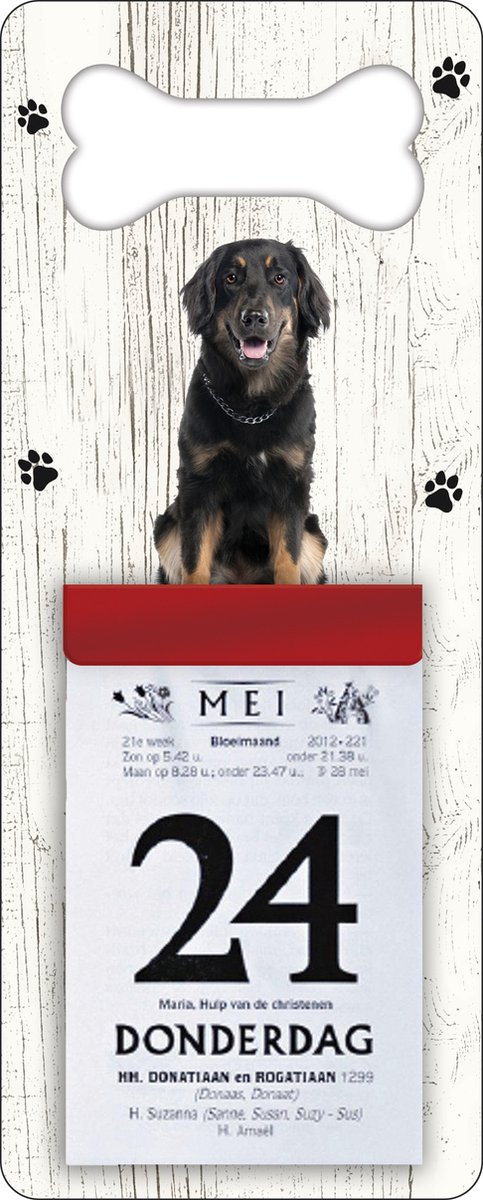 Scheurkalender 2024 Hond: Hovawart