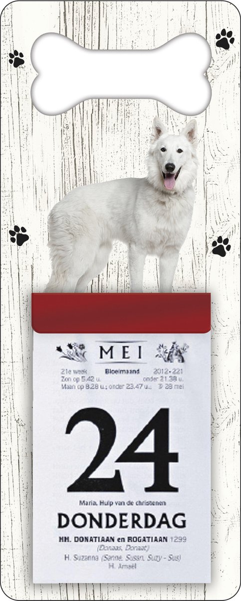 Scheurkalender 2026 Hond: Husky