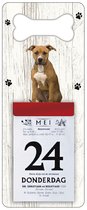 Scheurkalender 2024 Hond: American Staffordshire Terrier