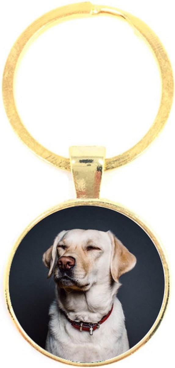 Sleutelhanger Glas - Hond