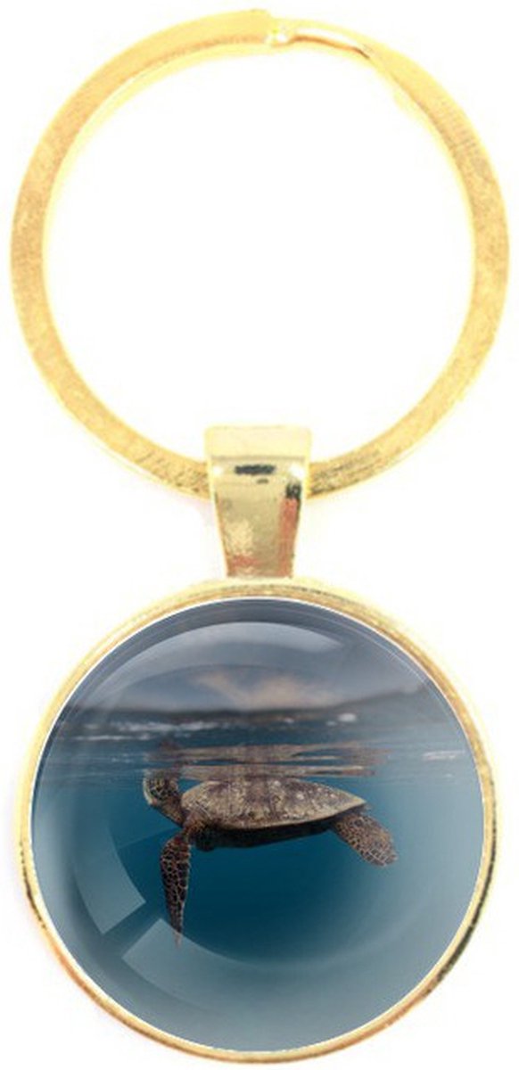 Sleutelhanger Glas - Schildpad