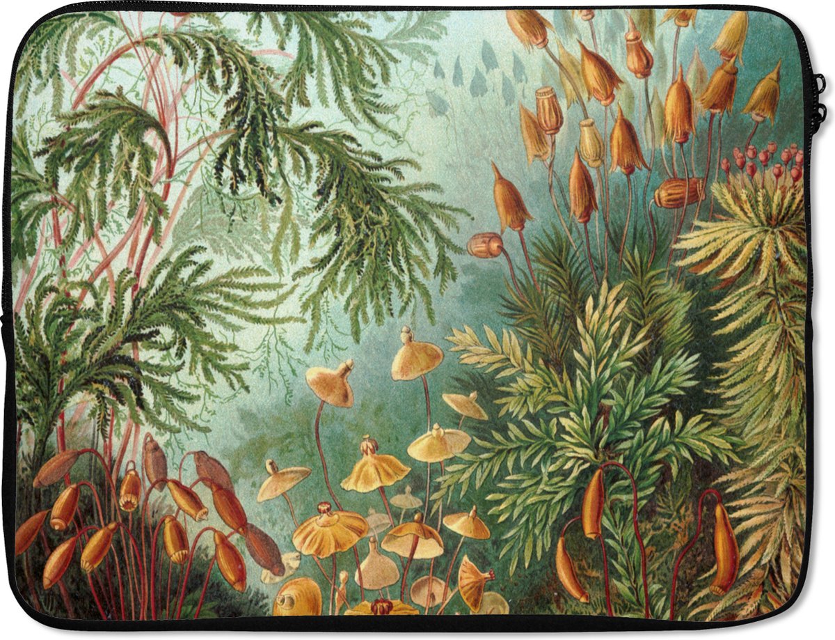 Laptophoes - Vintage - Natuur - Schilderij - Planten - Ernst Haeckel - Laptop sleeve - Laptop hoes - Laptop - 15 6 Inch - Back to school spullen - Schoolspullen jongens en meisjes middelbare school - Macbook air hoes - Chromebook sleeve