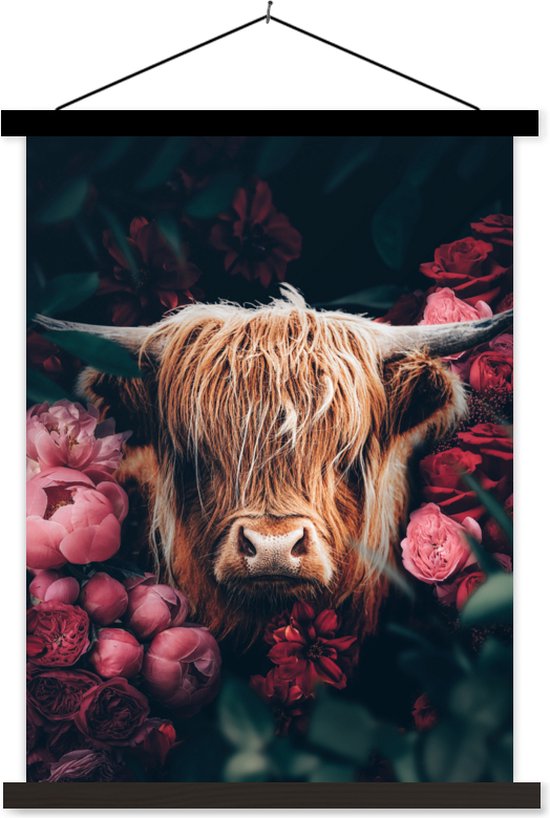 Porte-affiche avec affiche - Affiche scolaire - Vache - Highlander écossais - Fleurs - botanique - 60x80 cm - Lattes noires
