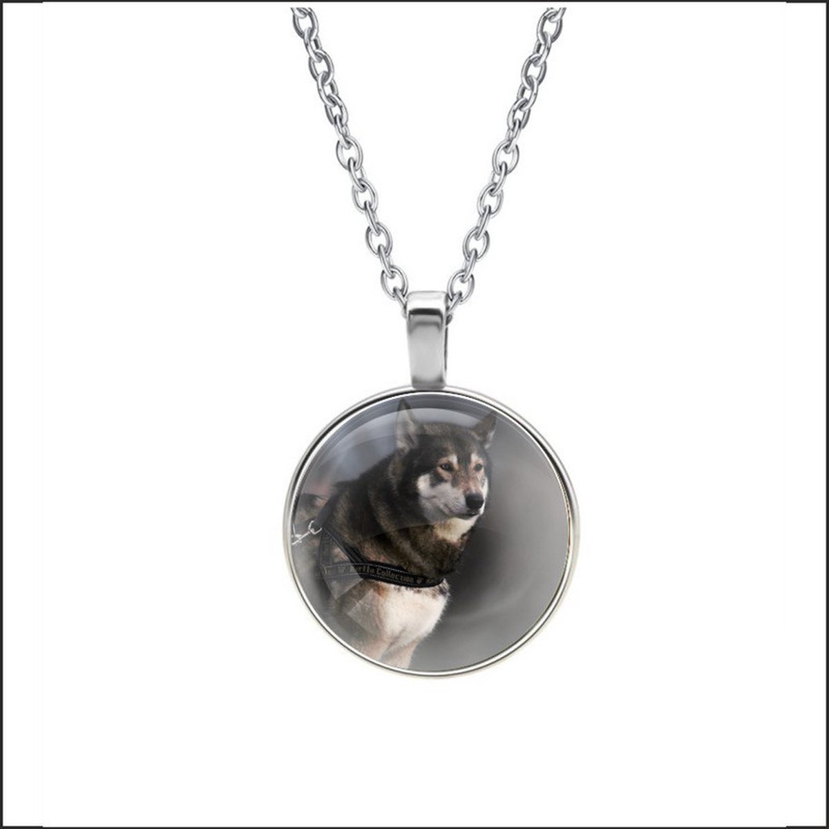 Ketting Glas - Wolf