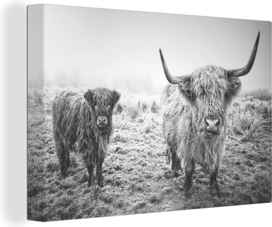 Canvas Schilderij Ondergesneeuwde Schotse hooglanders - zwart wit - 120x80 cm - Wanddecoratie