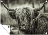 Tuin decoratie Schotse hooglander - Koeien - Zwart - Wit - 40x30 cm - Tuindoek - Buitenposter