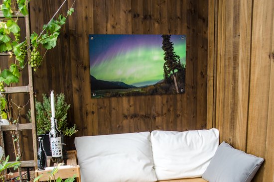 Posters de jardin Aurores Boréales - Arbre - Berg - Nature - 90x60 cm